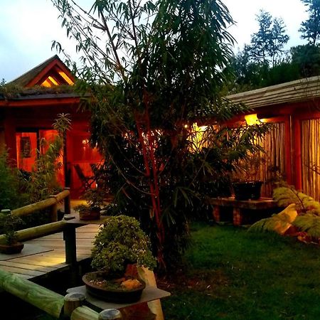 Paradise Private Zen Studios 나이스나 외부 사진